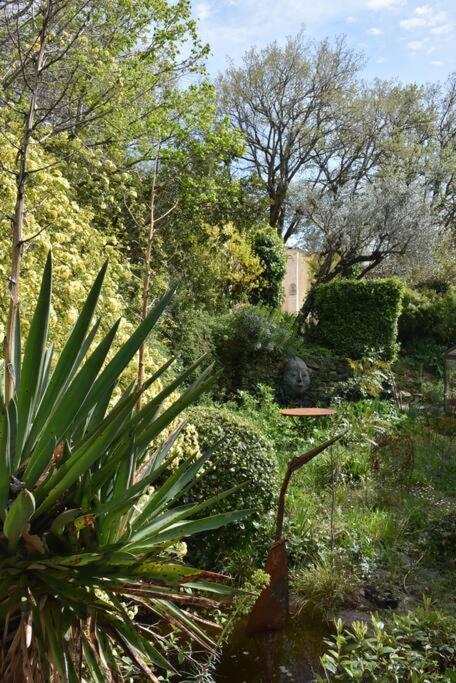 La Petite Maison Des Artistes Séguret Buitenkant foto