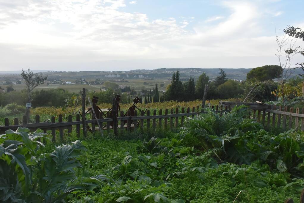 La Petite Maison Des Artistes Séguret Buitenkant foto