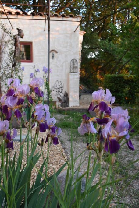 La Petite Maison Des Artistes Séguret Buitenkant foto
