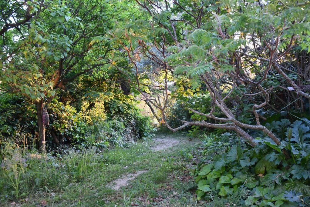 La Petite Maison Des Artistes Séguret Buitenkant foto