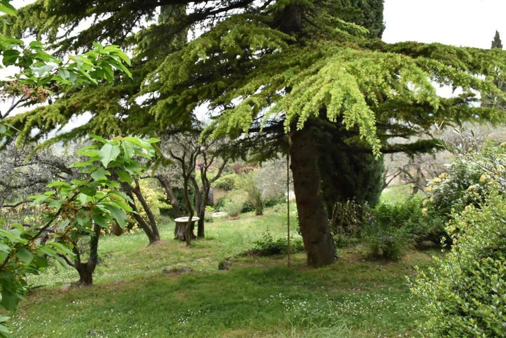 La Petite Maison Des Artistes Séguret Buitenkant foto